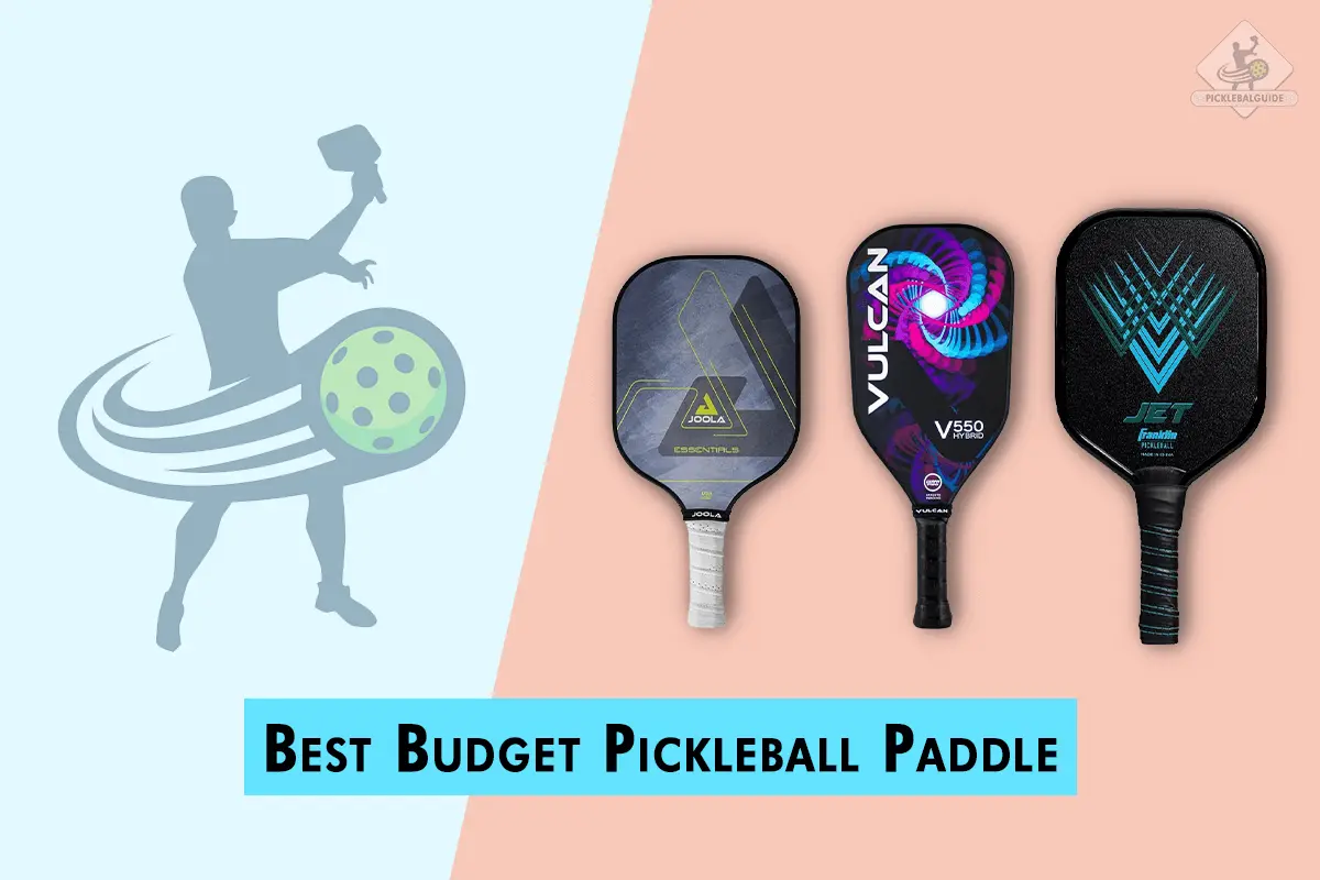 Top 5 Best Budget Pickleball Paddle for 2024 PICKLEBALGUIDE